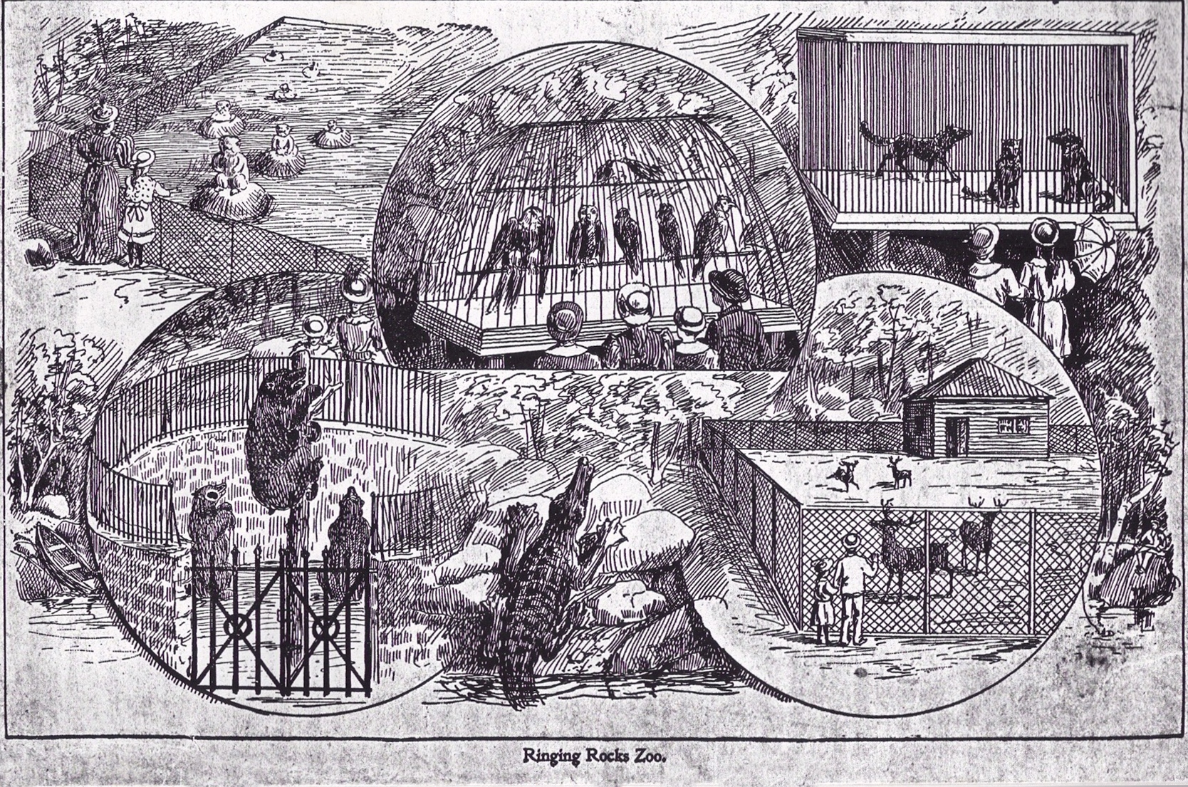 Zoo at Ringing Rocks Park