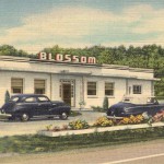 The Blossom Restaurant